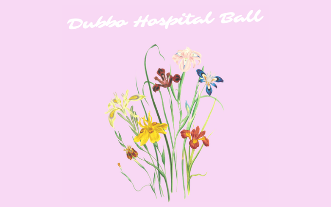Dubbo_Hospital_Ball_680 × 425px
